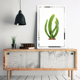 Tükor falikép Kaktus Mirrora 66 - 60x40 cm 