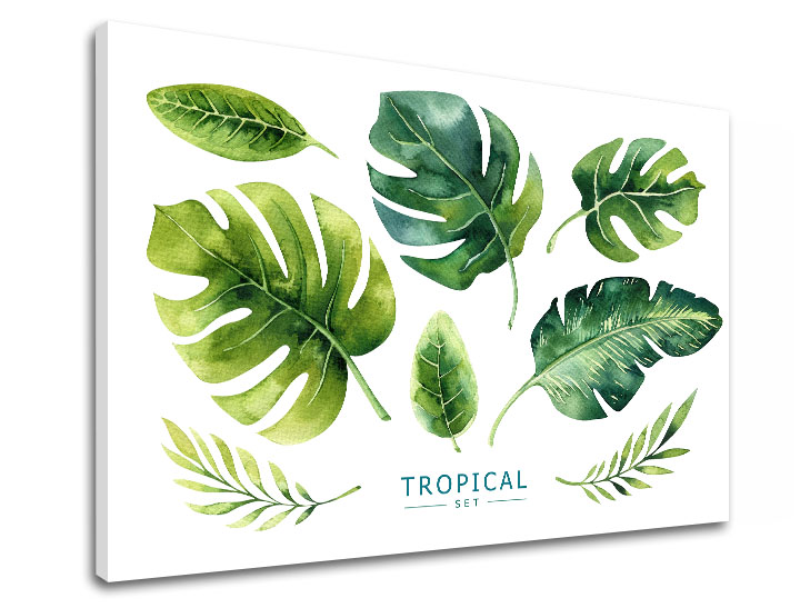 Vászonkép szöveggel Tropical set