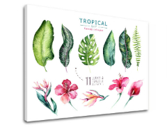 Vászonkép szöveggel Tropical set flamingo