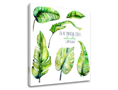 Vászonkép szöveggel Palm tropical leaves