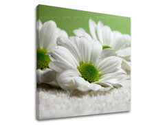 Falfestmény FLOWERS 30x30 cm