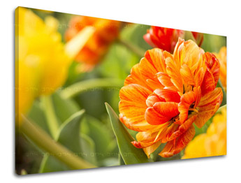 Falfestmény FLOWERS KV001E11