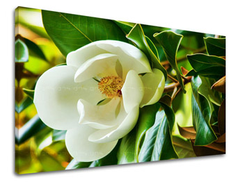 Falfestmény FLOWERS KV003E11