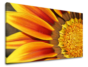 Falfestmény FLOWERS KV005E11