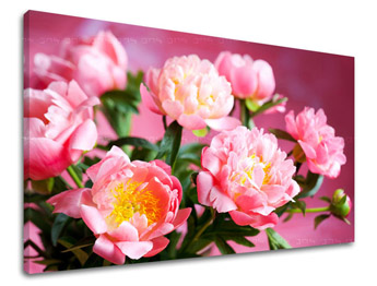 Falfestmény FLOWERS KV013E11