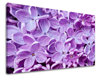 Falfestmény FLOWERS KV046E11