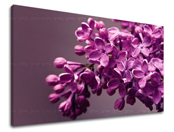 Fali festmény FLOWERS KV020E11