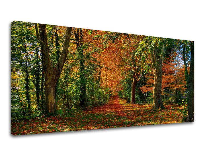 Fali festmény PANORÁMA FÁK 30x60 cm