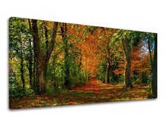 Fali festmény PANORÁMA FÁK 60x120 cm