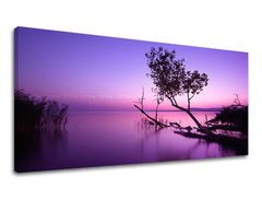 Fali festmény PANORAMA WEST SLNKA 50x100 cm