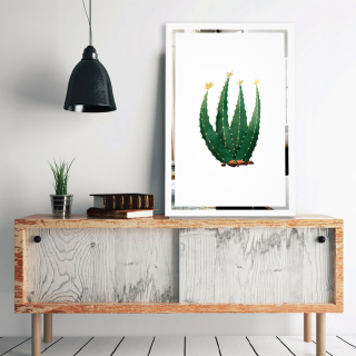 Tükor falikép Kaktusz Mirrora 69 - 60x40 cm 