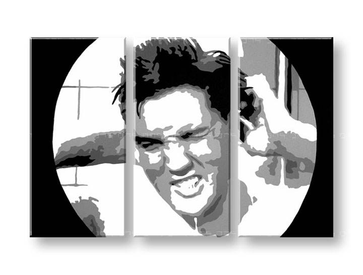 Kézzel festett vászonképek POP Art ELVIS  el2 