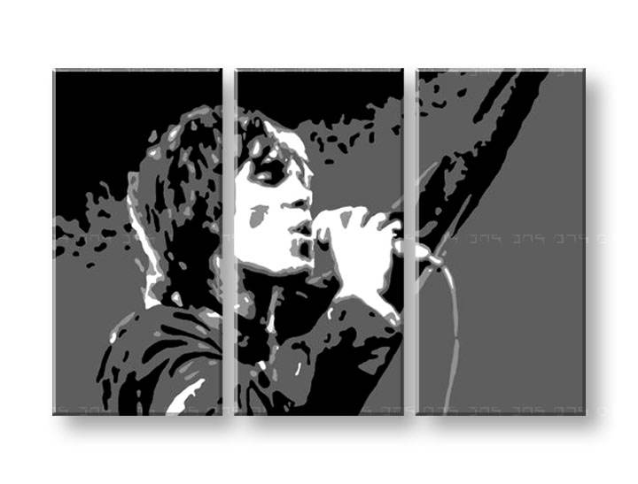 Kézzel festett vászonképek POP Art Ian Brown  ib2 