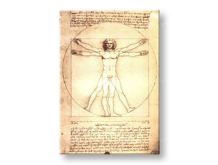 Vászonkép VITRUVIUS FÉRFI- Leonardo Da Vinci 
