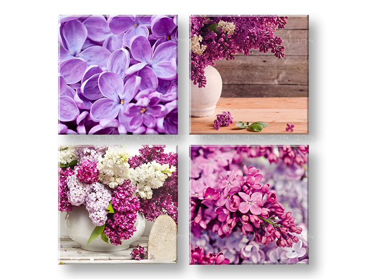 Falikép Lilacs 